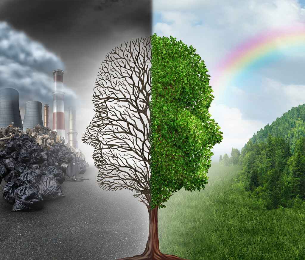 Environment vocabulary for IELTS