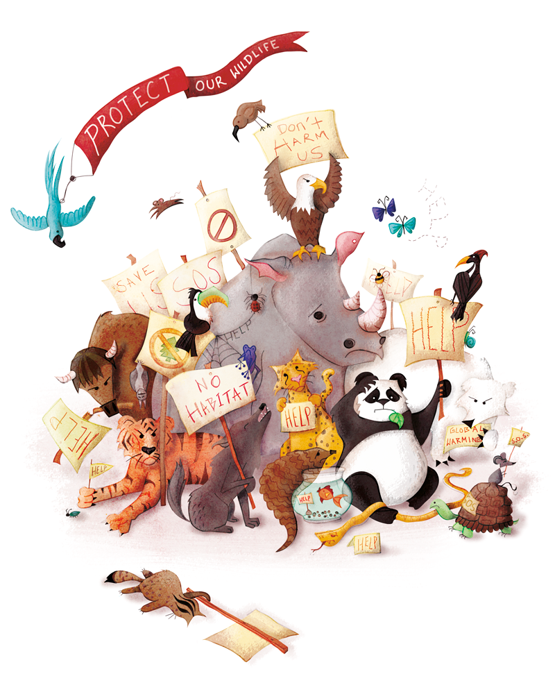 IELTS Topic Protect animal vocabulary - Save The Wildlife