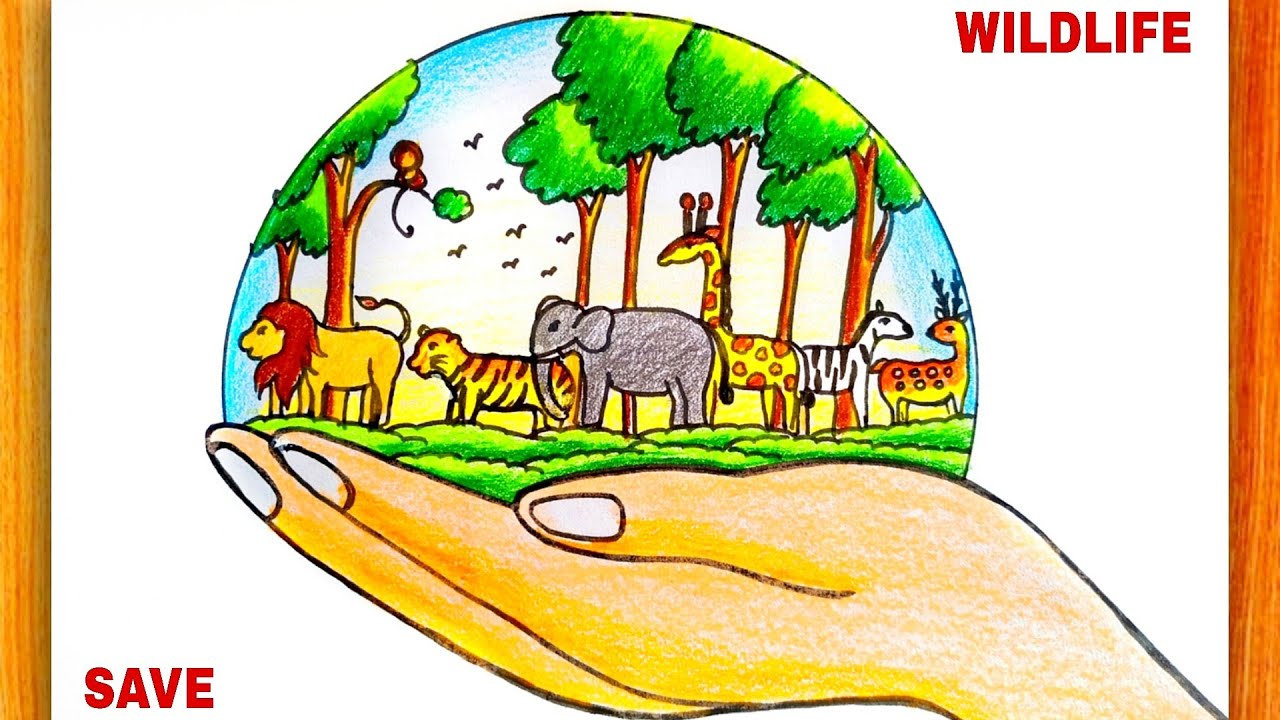 IELTS Topic Protect animal vocabulary
